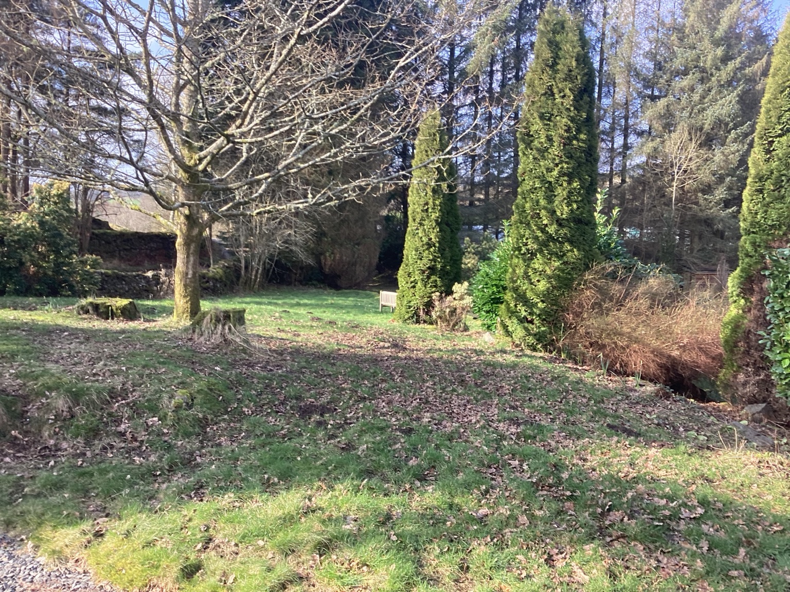 Tarn View garden